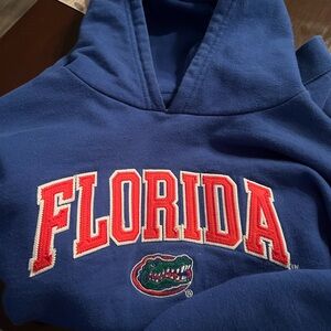 Majestic Blue Hoodie with orange  Accents